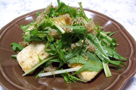 水菜 豆腐 サラダ